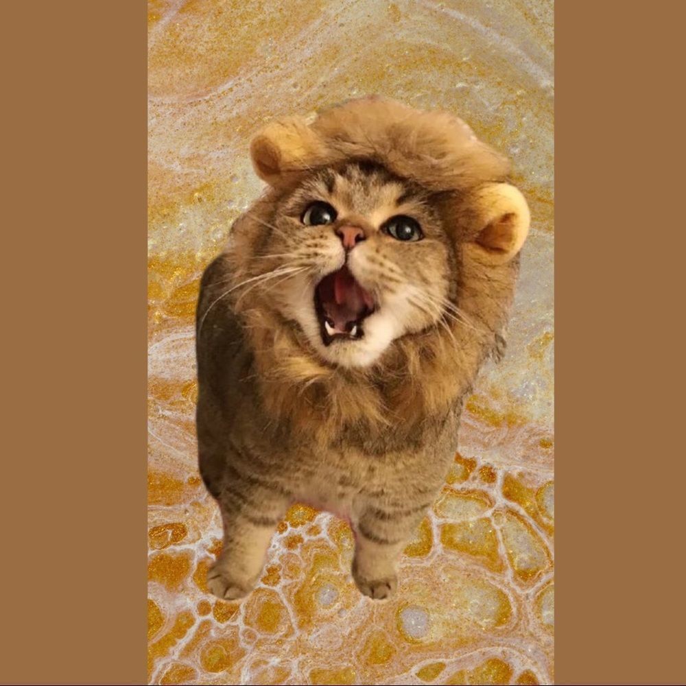 Lion Face Costume 